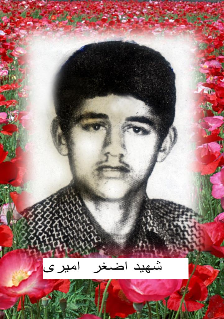 فاقد تصویر